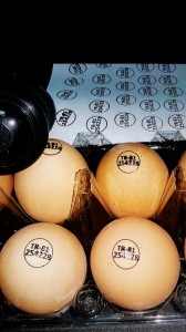 YUMURRTA KAŞESİ 0553 444 88 88